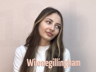 wilonegillingham 18A blog