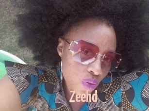 zeehd 18A blog
